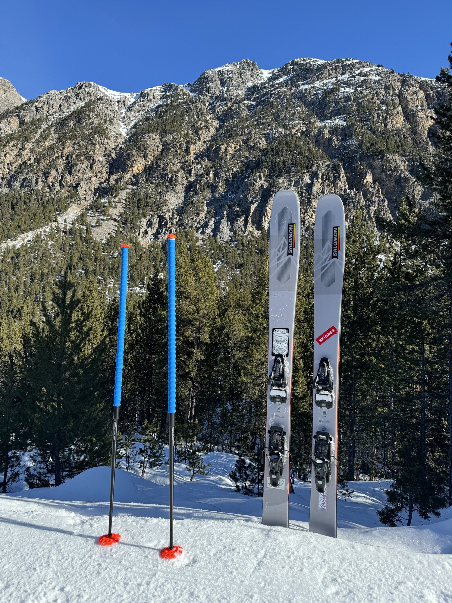 Bâtons d'Alain Unique