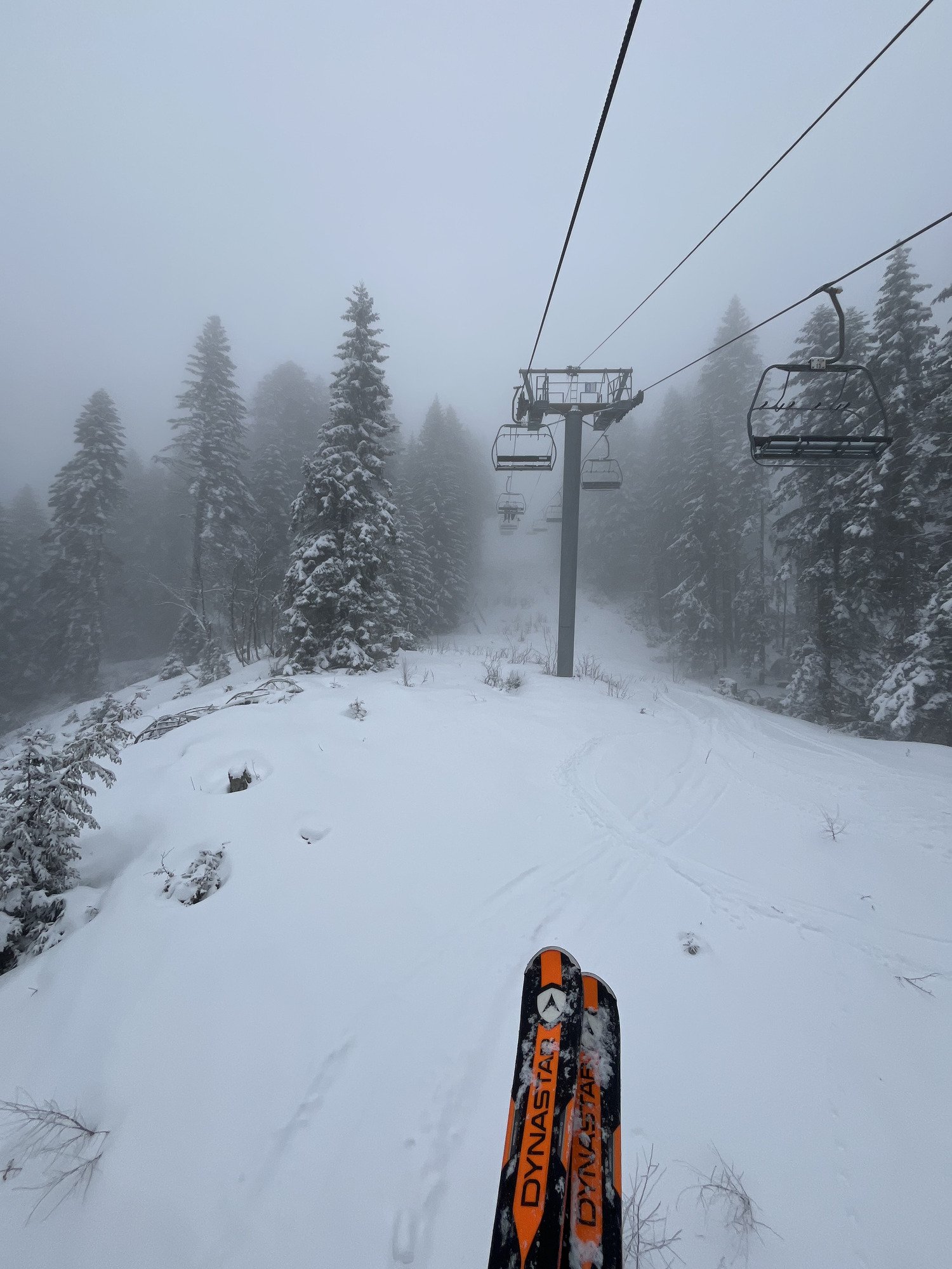 Dynastar Speed Zone 14 Pro