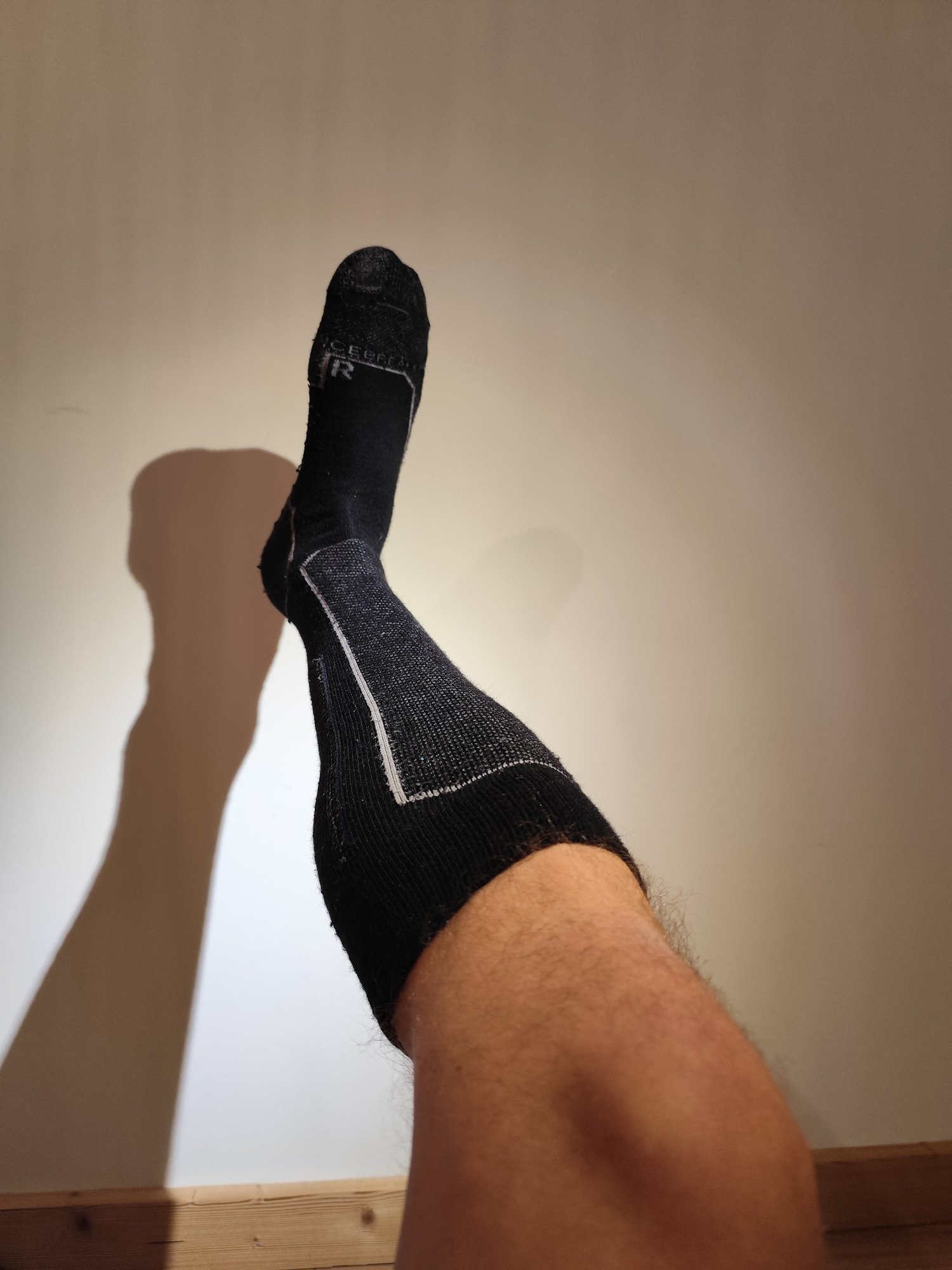 Icebreaker Ski+ Lite OTC