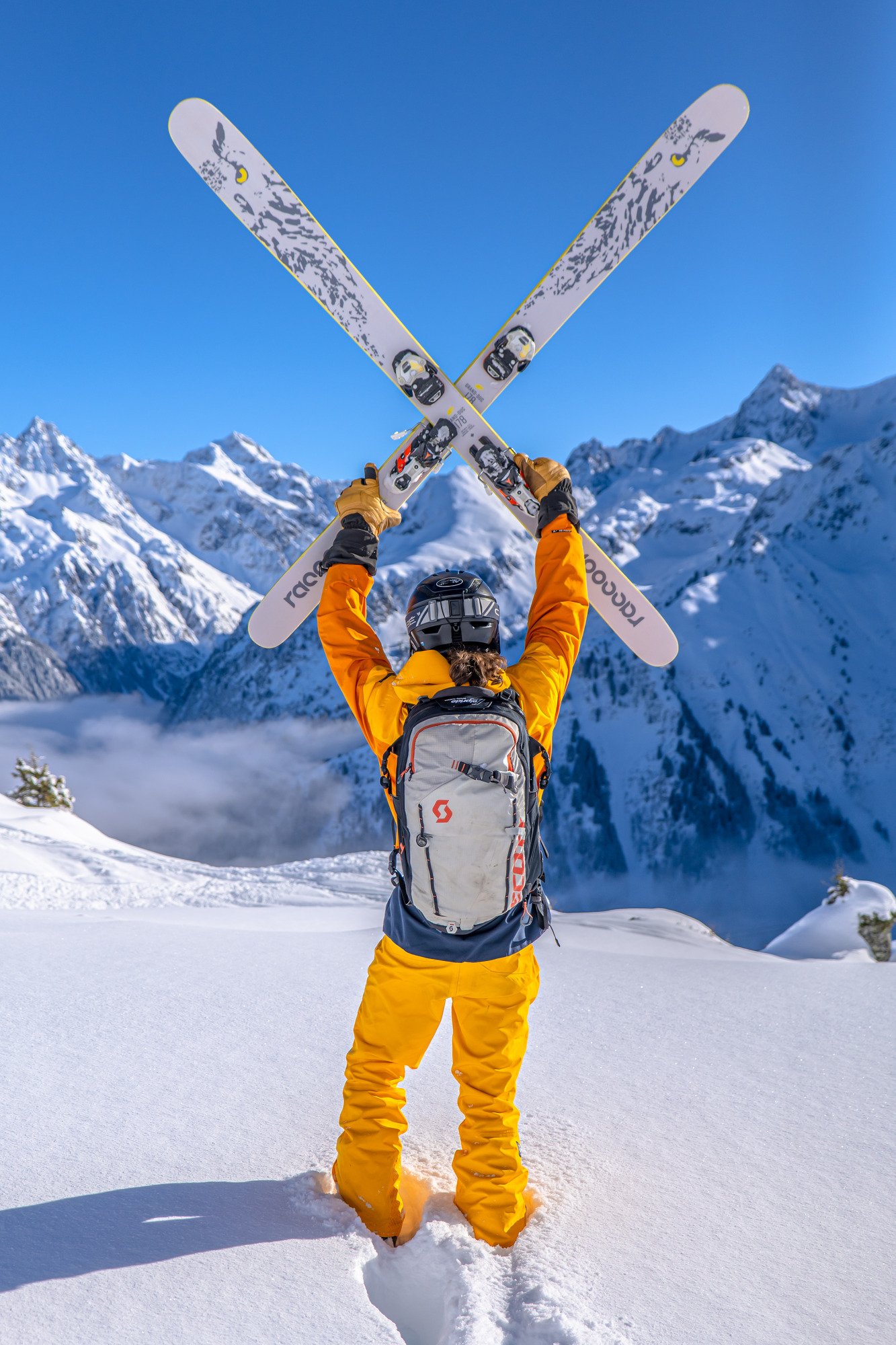 Raccoon Le Grand-Duc