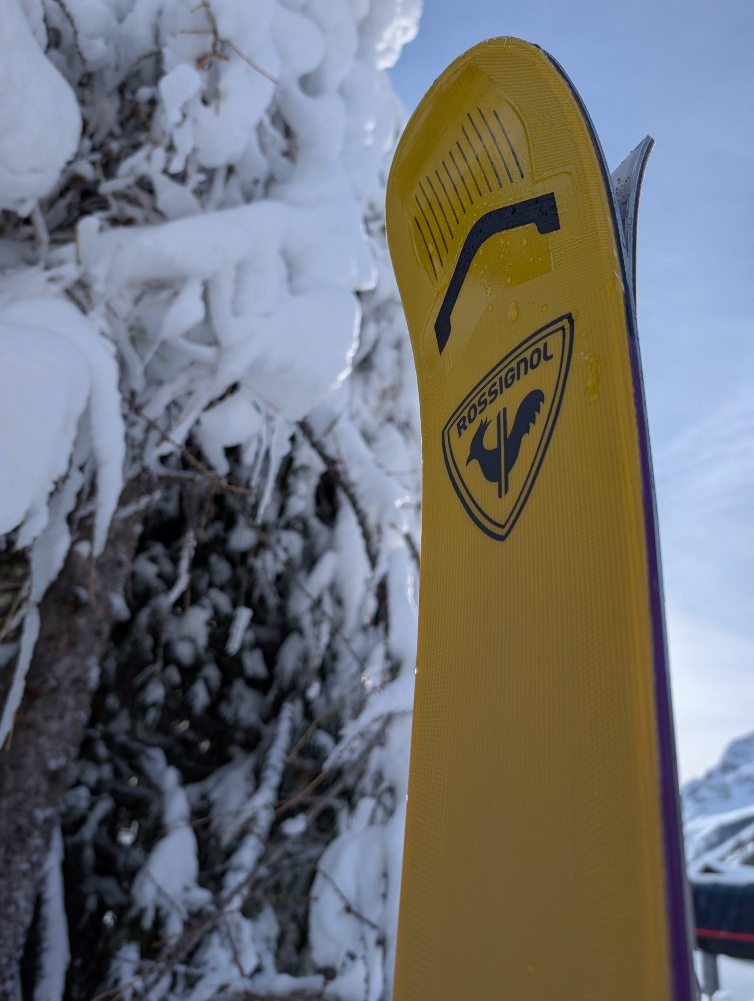 Rossignol Arcade 94 open