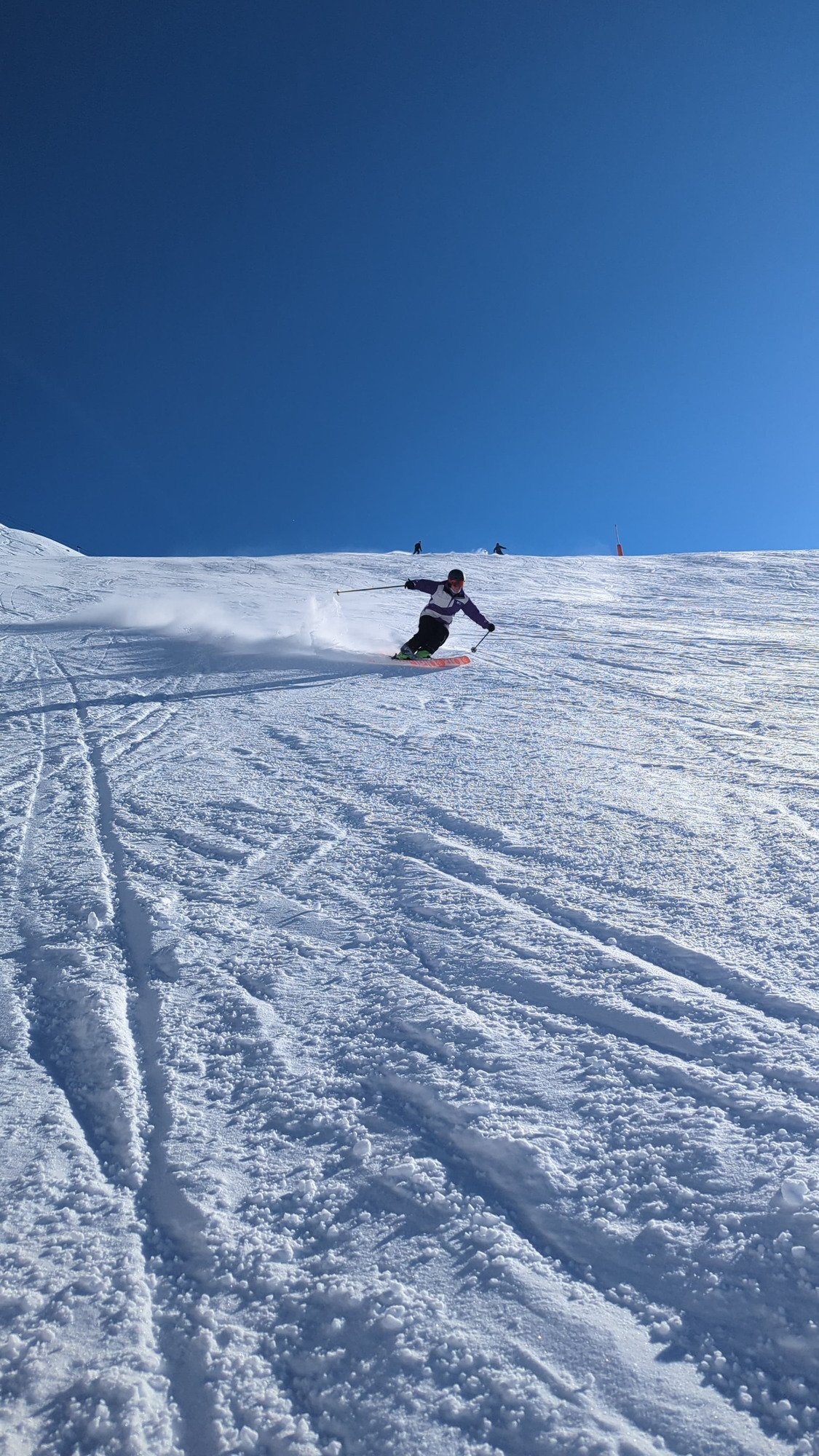 BLACKS CROWS Mirus cor