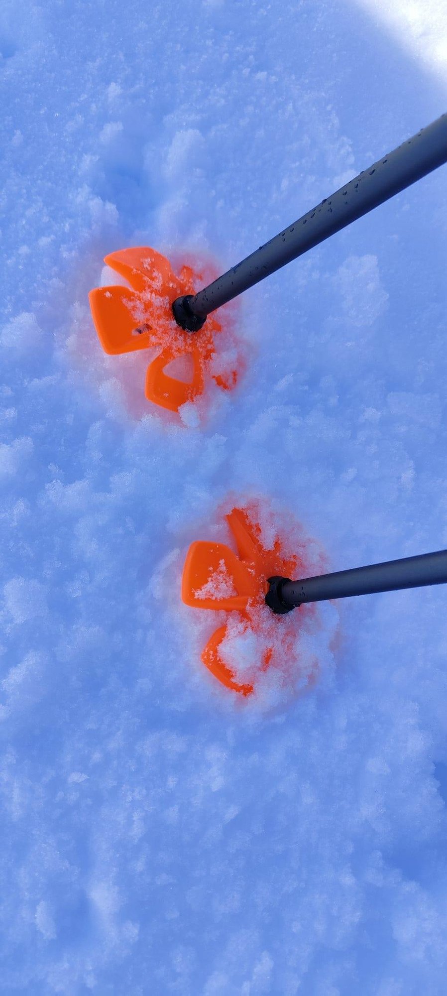 Simond Vario 2 Safety