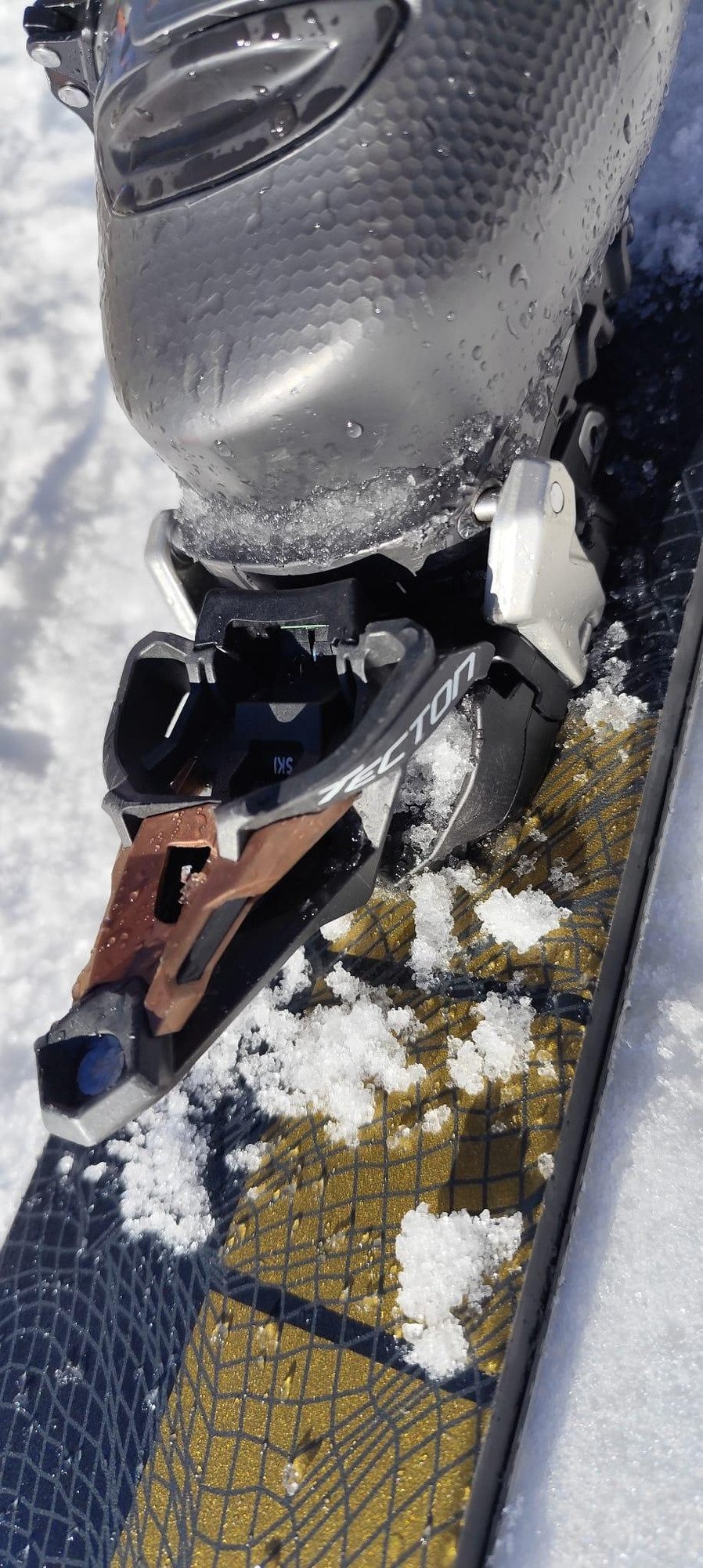 Majesty Supernova Carbon