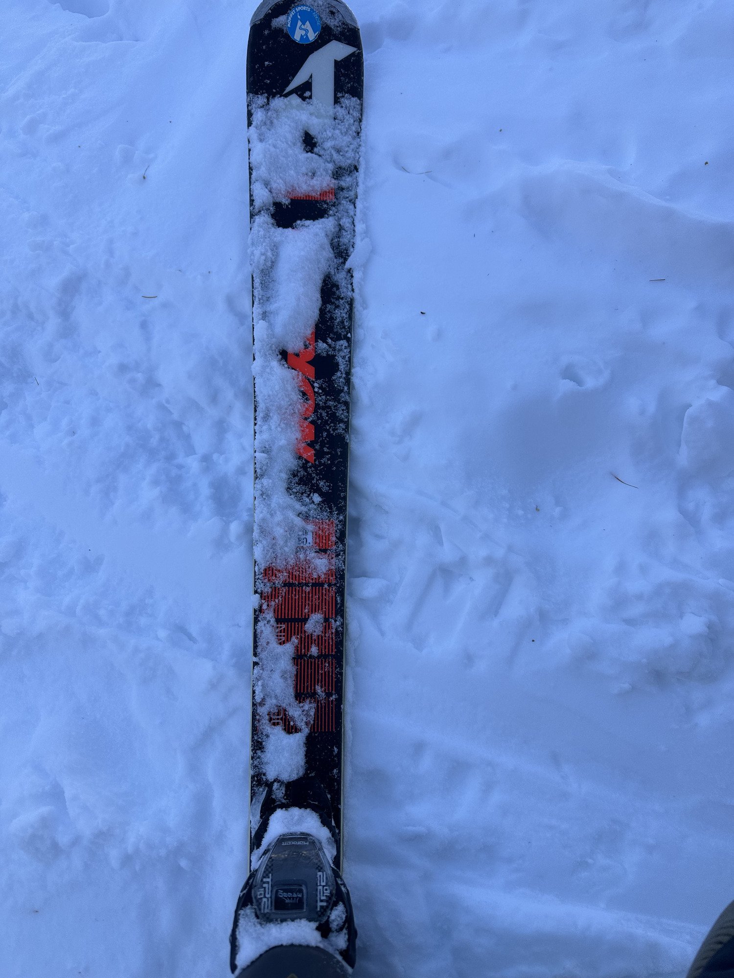 Nordica dobermann spitfire CRX