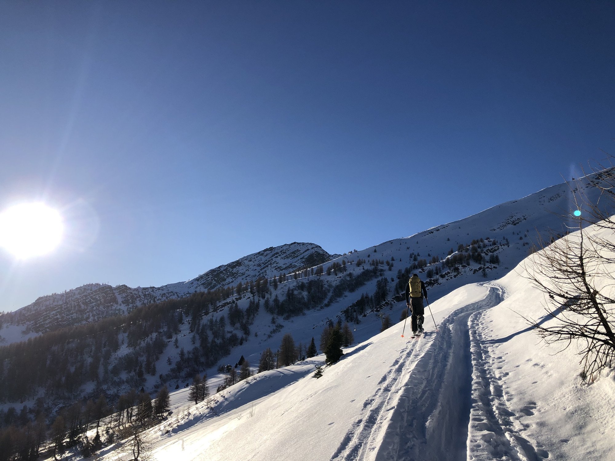 deuter FREERIDER PRO 32+10