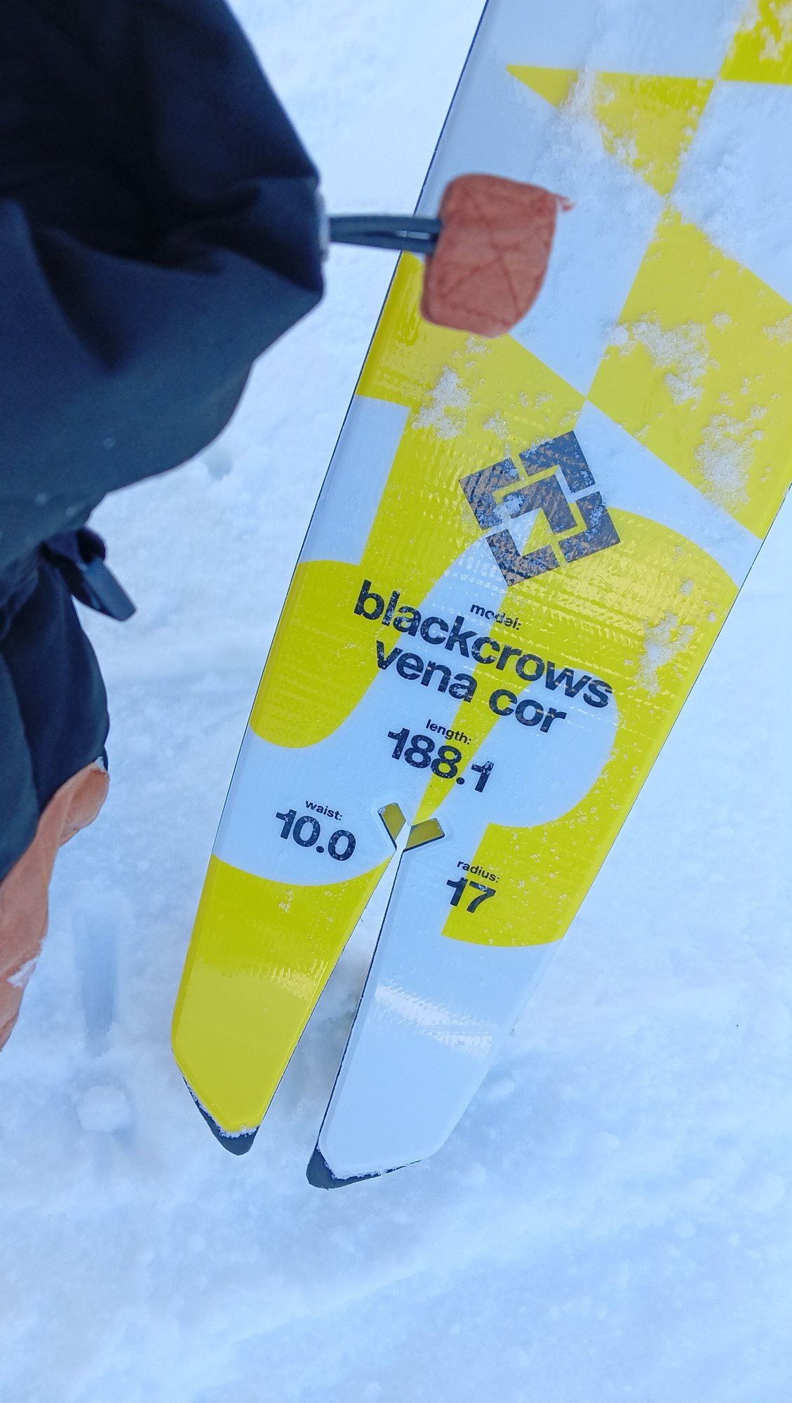 Black Crows vena cor