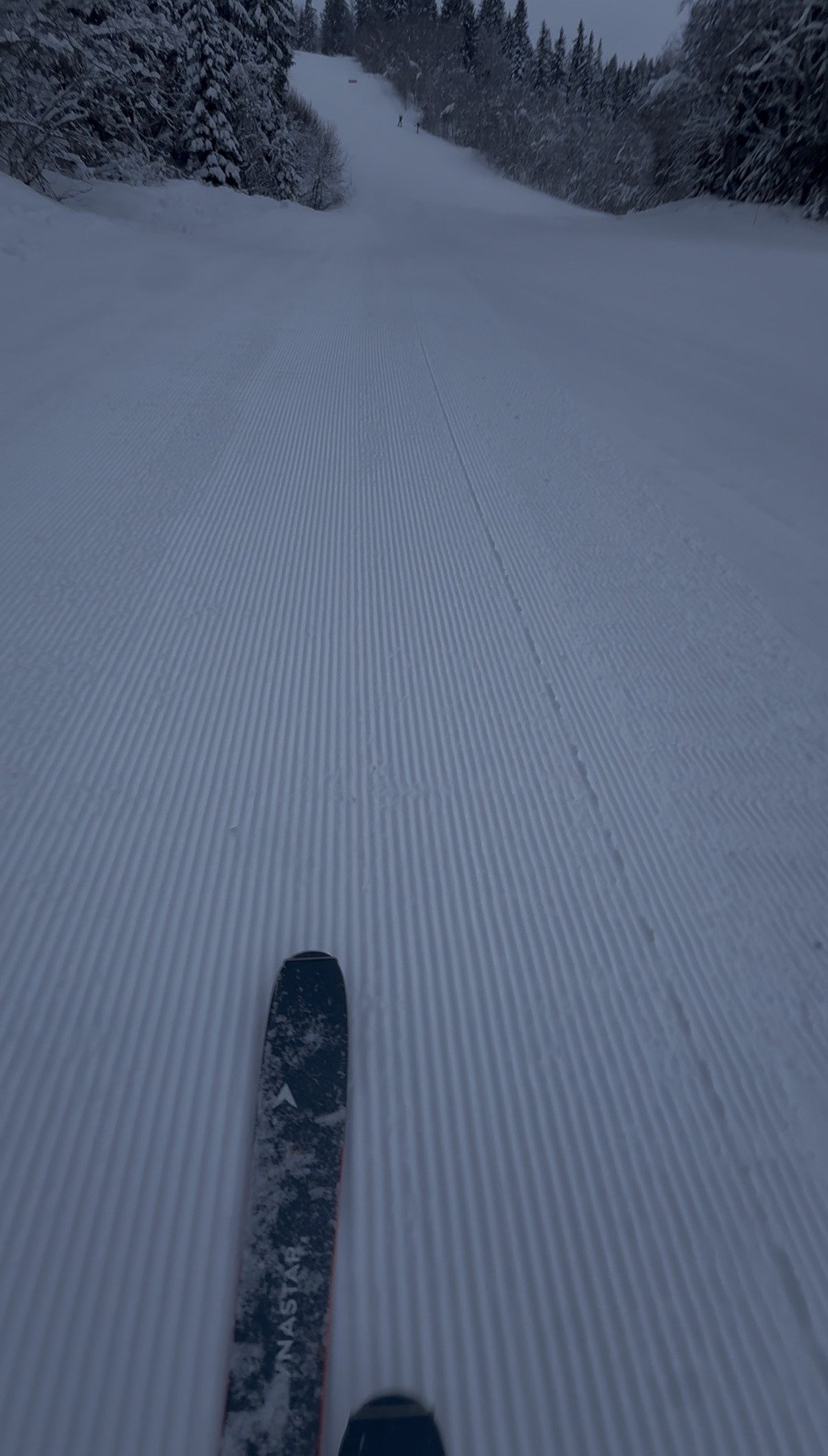 Dynastar M-tour 100 open