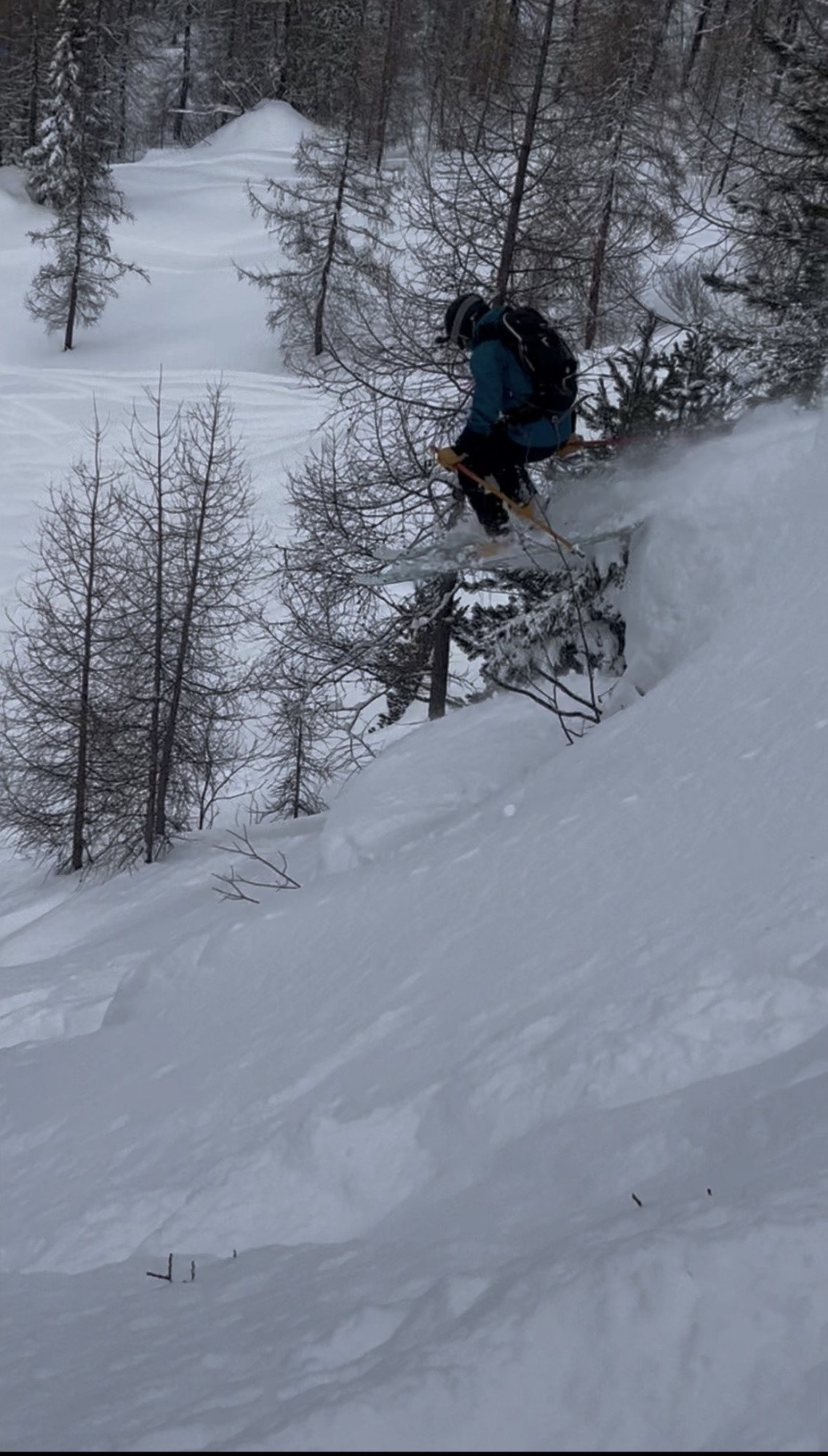 V&ouml;lkl Revolt 114