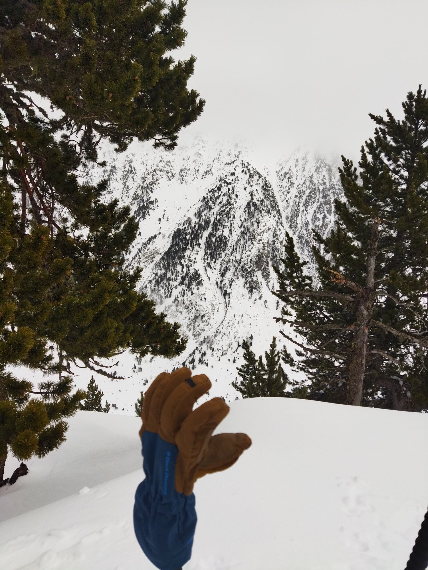 Black Diamond Glissade Gloves