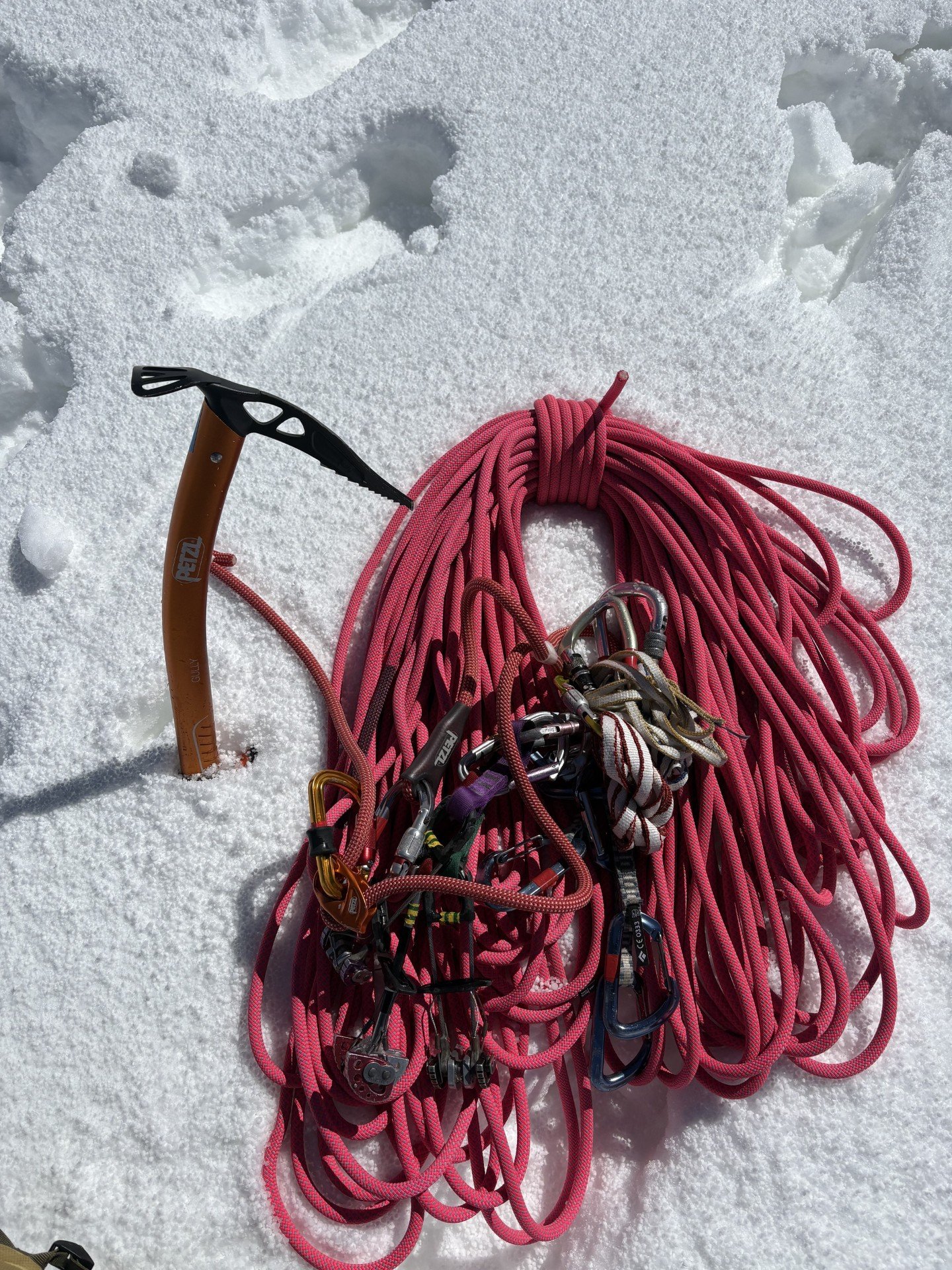 Petzl Gully