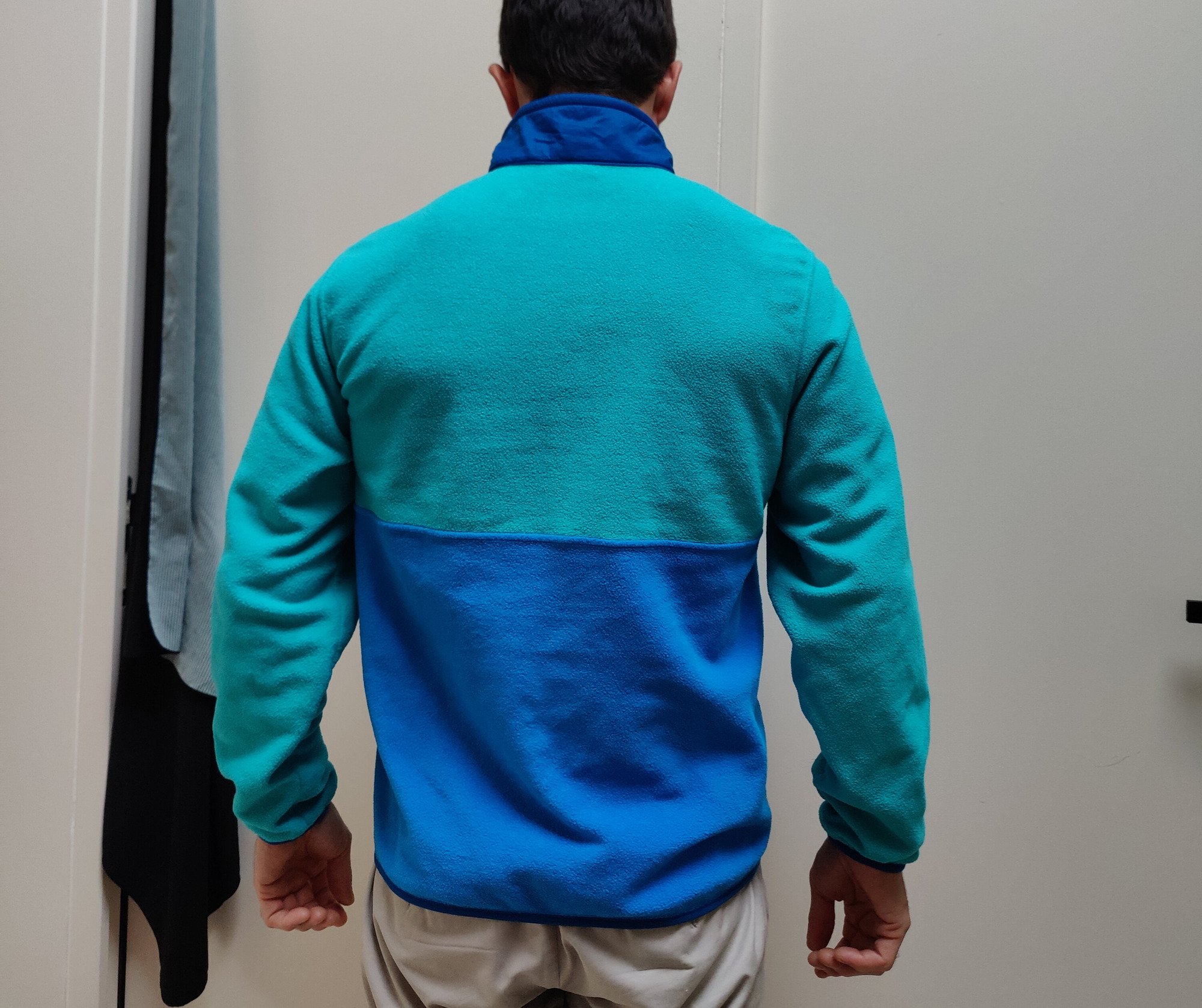 Patagonia Microdini P/O Half Zip