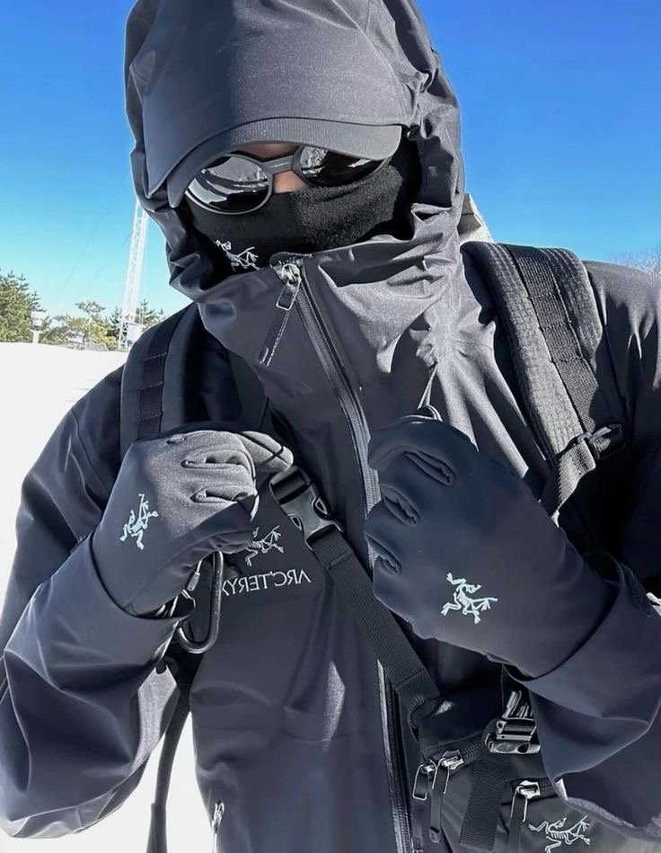 Arcteryx Beta