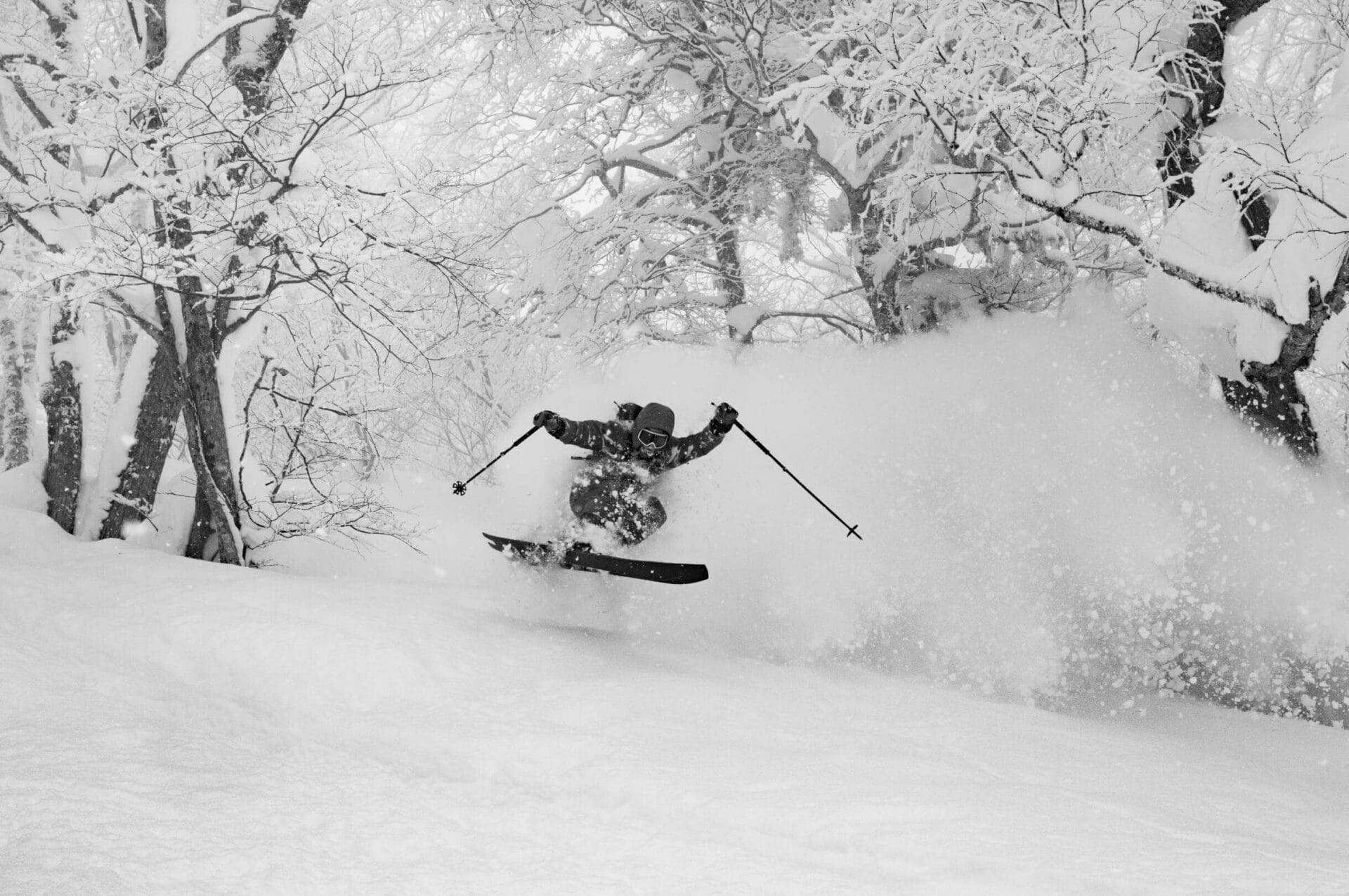 Simply. Skis Celebration