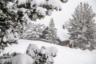 Vars-08-12-21