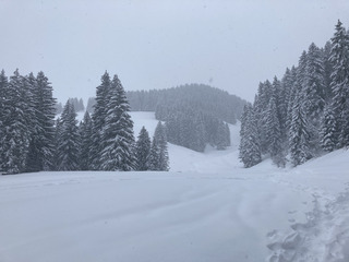 Morgins-15-03-21
