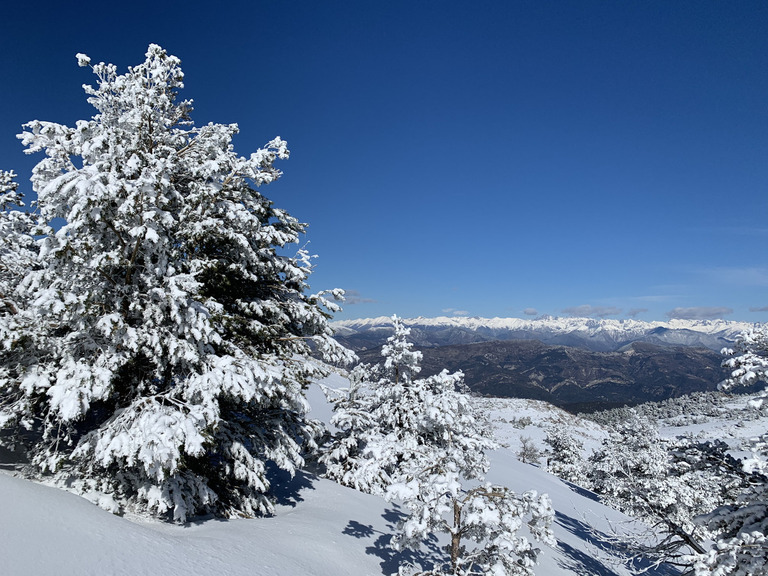 greoliere-14-02-21