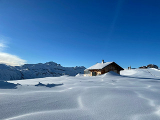 Samo&euml;ns-23-01-21