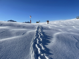 Samo&euml;ns-23-01-21