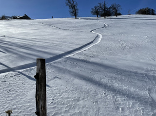saleve-19-01-21