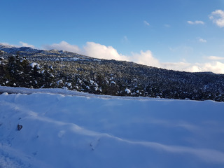 Gréolières-12-01-21