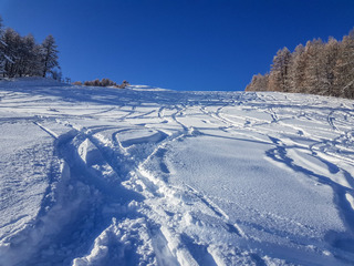Puy Saint Vincent-08-12-20