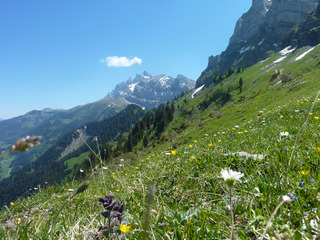 Champ&eacute;ry-27-05-20