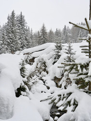 La Plagne-28-01-20