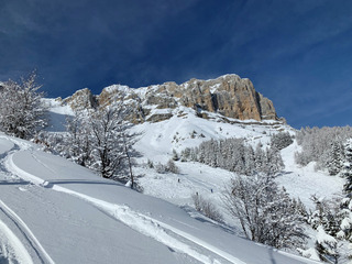 Gresse en Vercors-18-01-20