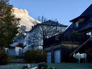 Le Sappey en Chartreuse-08-11-19