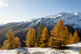 Puy Saint Vincent-19-10-19