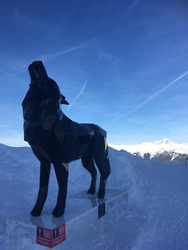 Courchevel-26-01-19