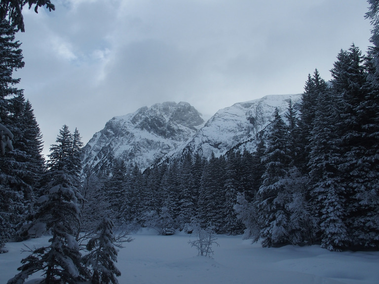 Alpe du Grand Serre-14-01-19