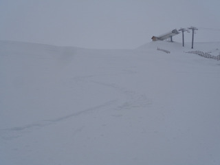 Samo&euml;ns-08-12-18