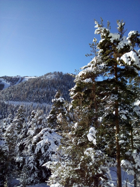 la colmiane valdeblore-28-12-17