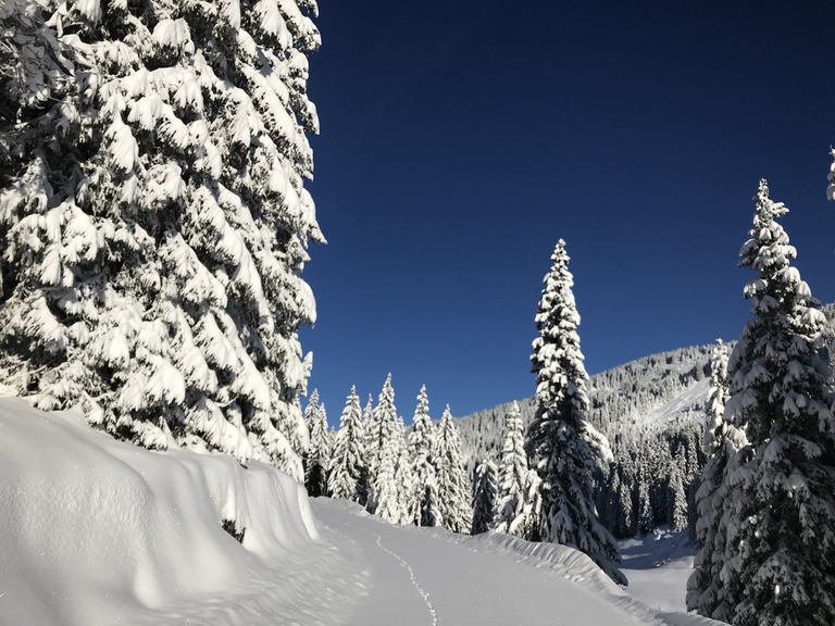 Avoriaz-13-12-17