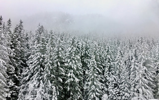 Chamonix-12-12-17