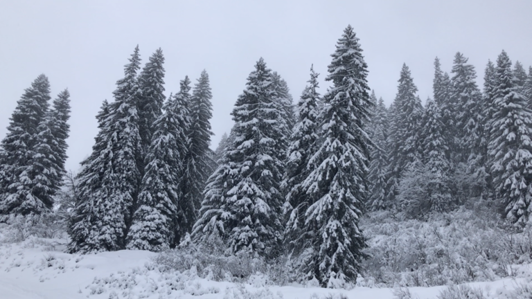 Avoriaz-29-11-17