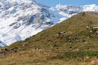 Val Thorens-03-09-17