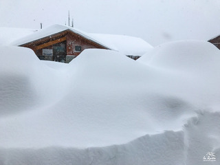 La Rosi&egrave;re-07-03-17