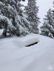 La Rosi&egrave;re-06-03-17