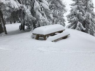 La Rosi&egrave;re-01-03-17
