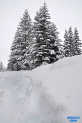 Avoriaz-05-02-17
