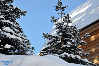 Avoriaz-11-01-17