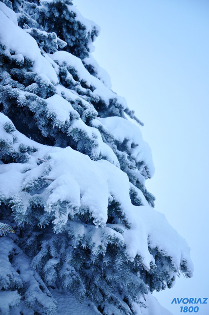 Avoriaz-11-11-16