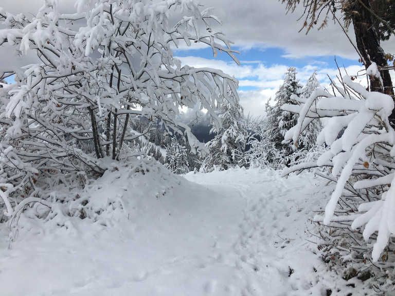 La Plagne-06-11-16