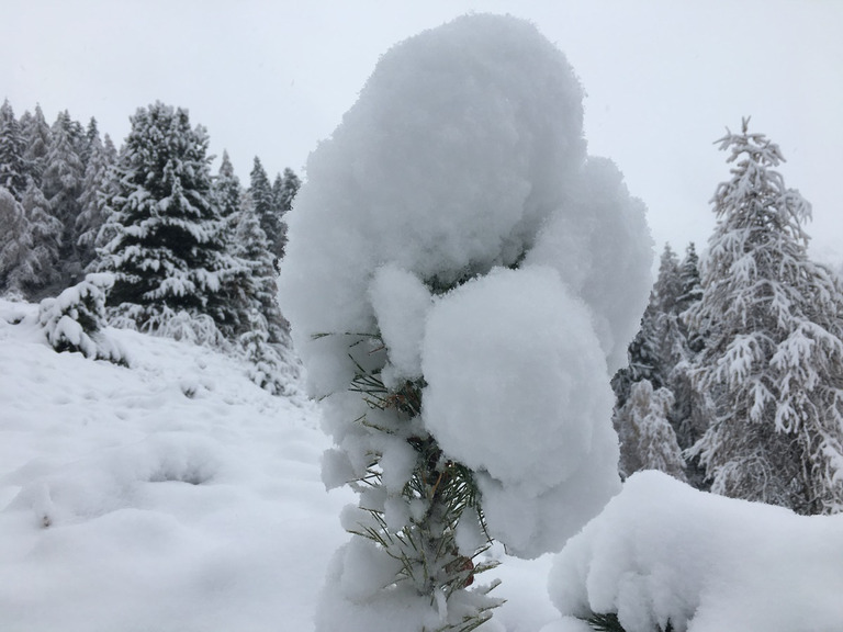 La Plagne-06-11-16