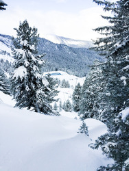 Courchevel-13-01-16