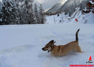 La Plagne-21-11-15