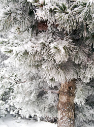 Avoriaz-16-10-15